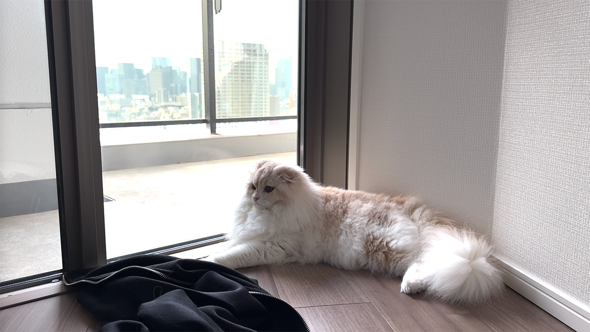 無料相談